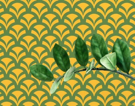pattern green and yellow traditional wallpaper
