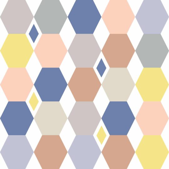 Multicolor hexagon removable wallpaper