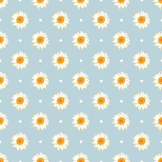 Aesthetic daisies polka dot removable wallpaper