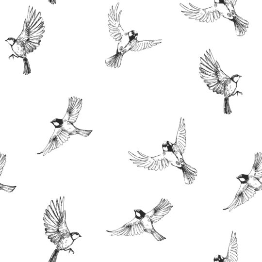 Minimalist sparrow peel and stick wallpaper