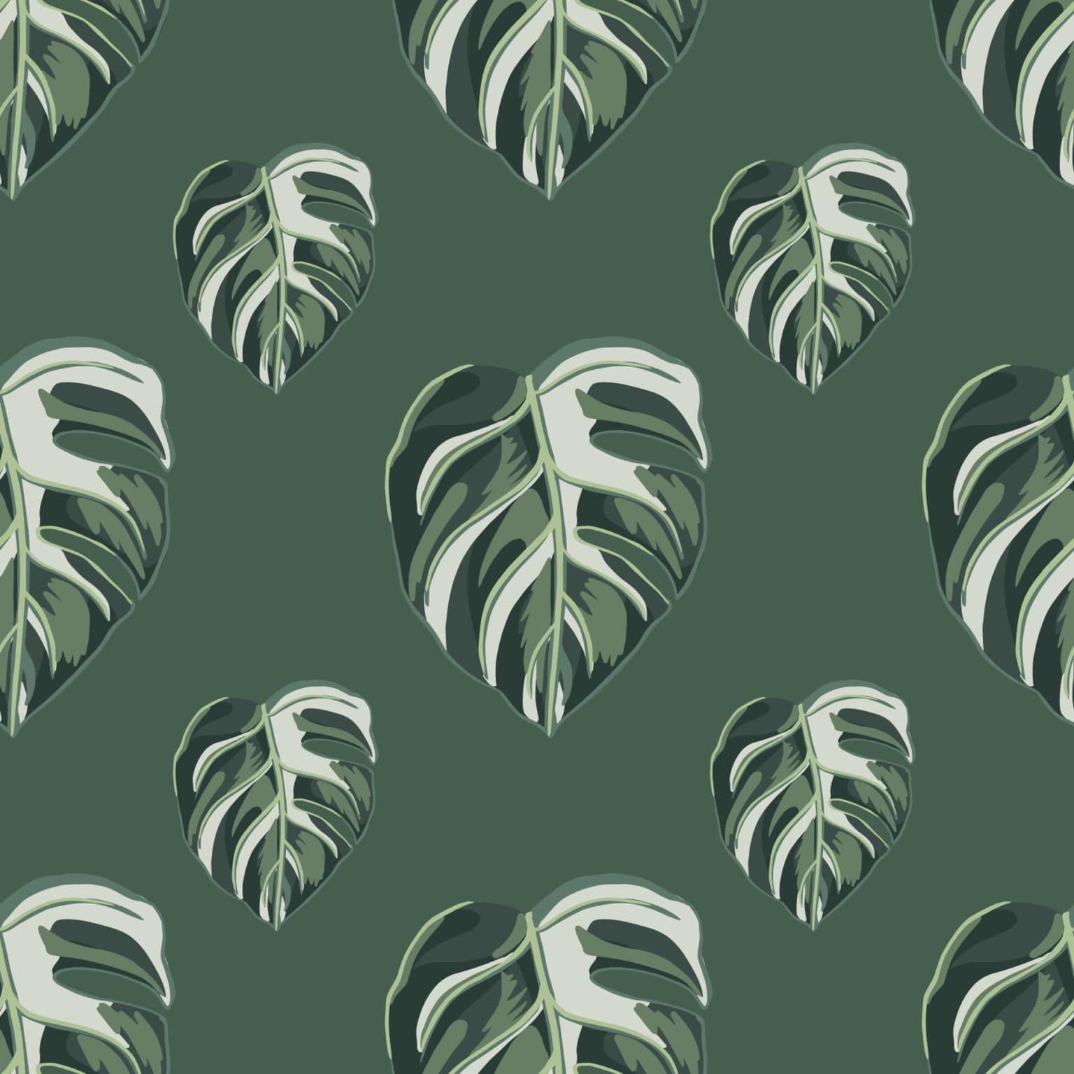 Monstera leaf wallpaper - Peel and Stick or Non-Pasted
