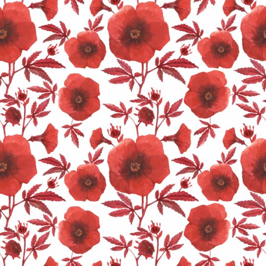 Red poppy removable wallpaper
