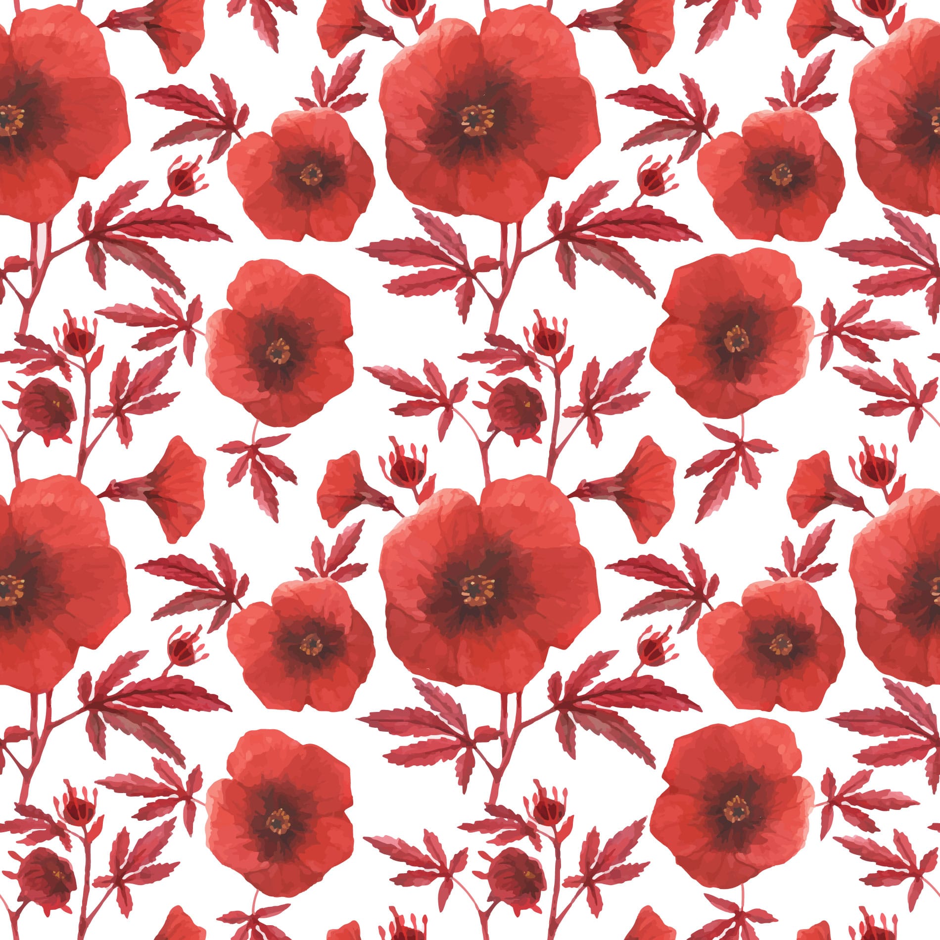 Red Poppies Wallpaper