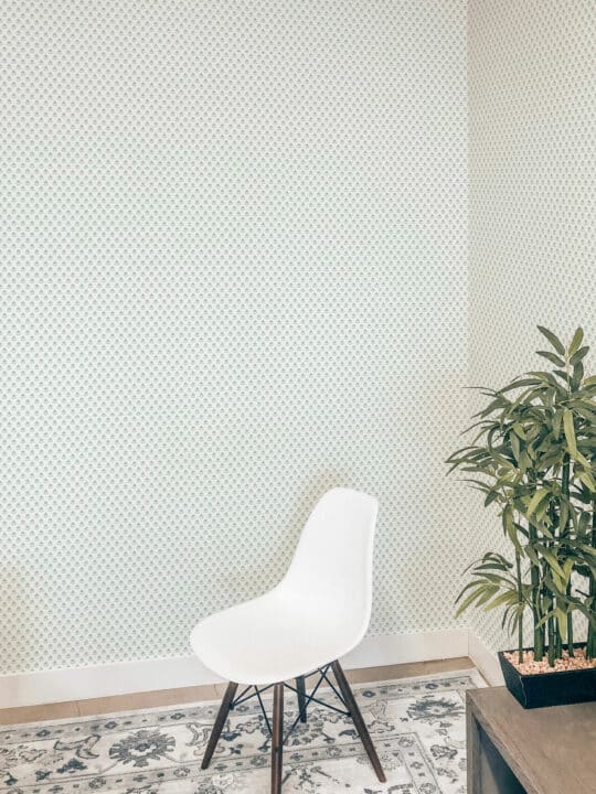 Minimalist plants peel stick wallpaper