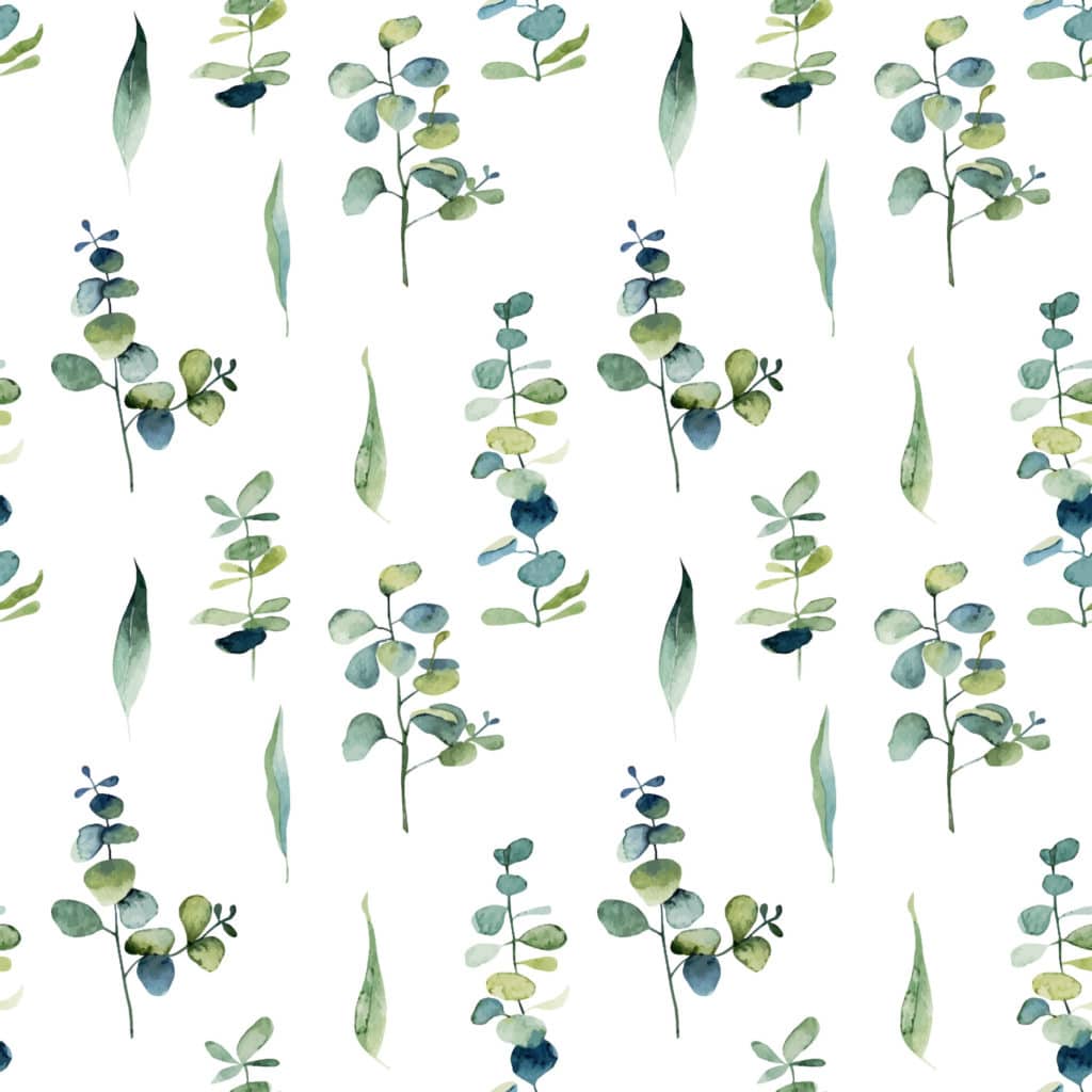 Watercolor eucalyptus leaf wallpaper - Peel and Stick or Non-Pasted