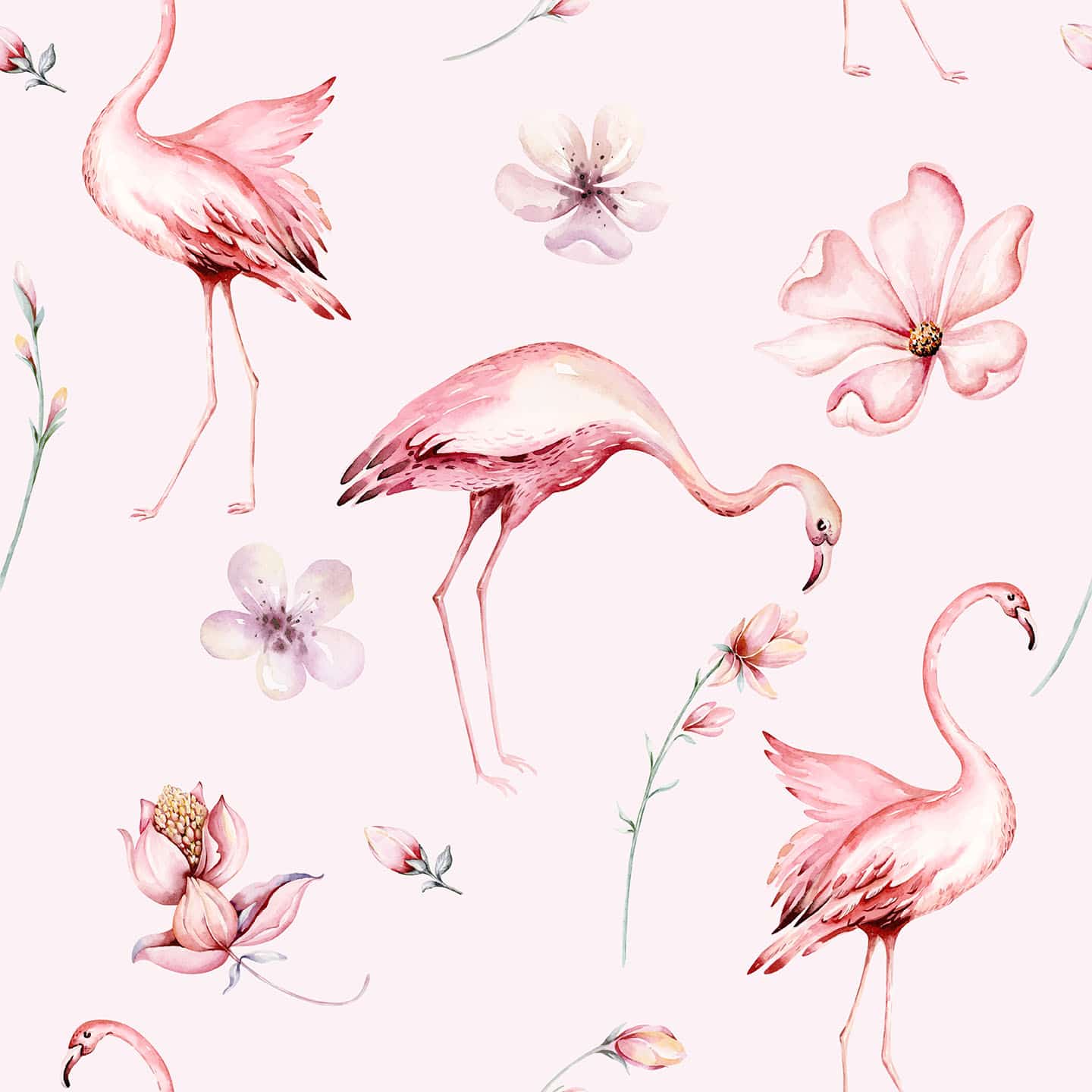 Aesthetic flamingo wallpaper - Peel and Stick or Non-Pasted