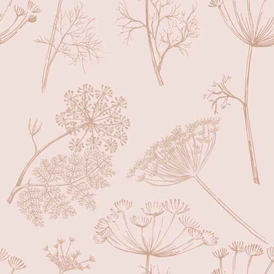 pink anthriscus non-pasted wallpaper