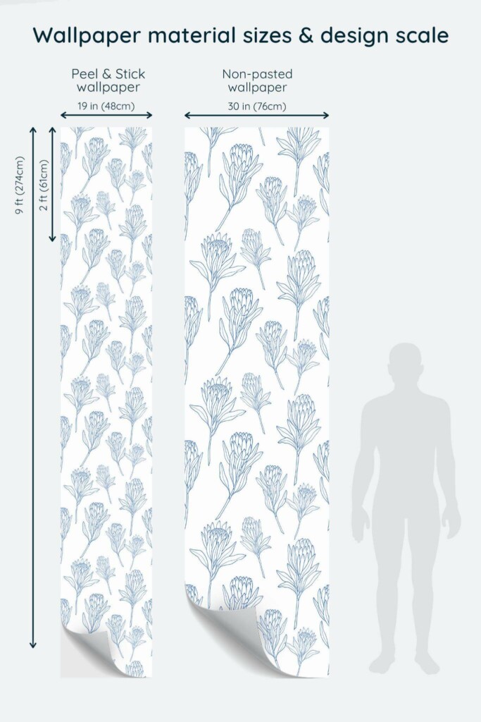 Size comparison of Protea flower Peel & Stick and Non-pasted wallpapers with design scale relative to human figure