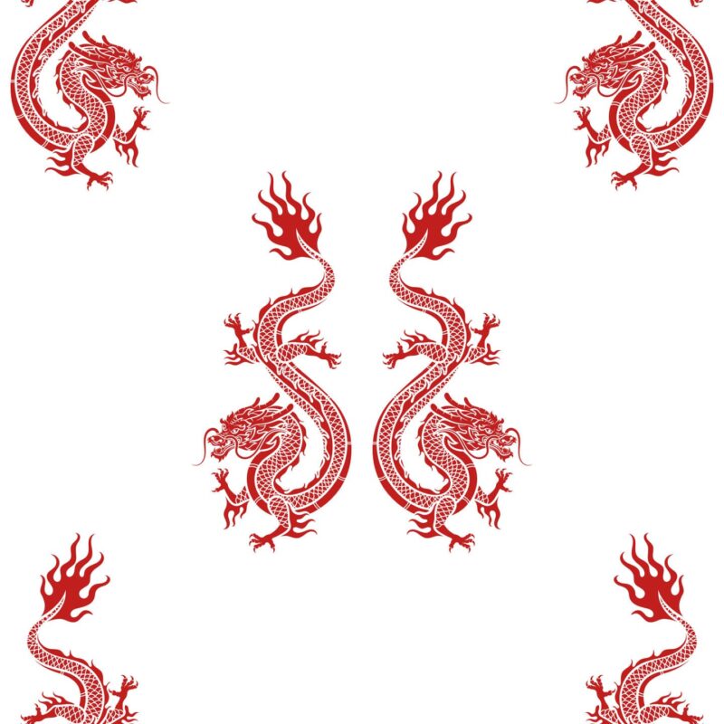 Dragon Wallpaper - Peel and Stick or Non-Pasted