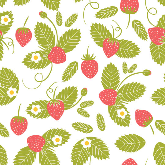 strawberry removable wallpaper
