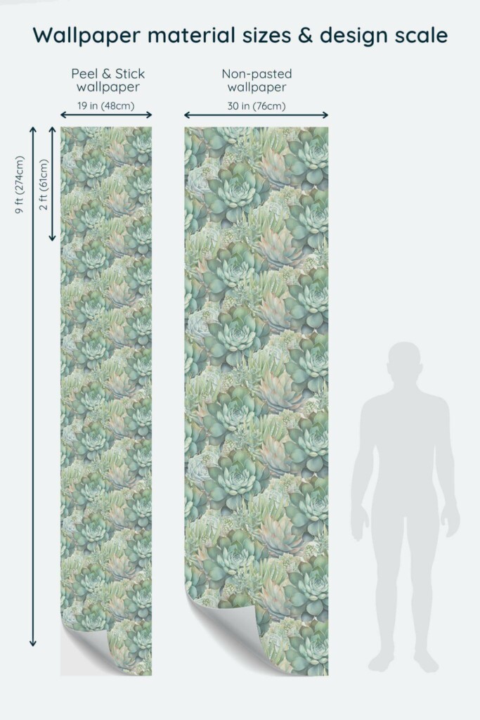 Size comparison of Sage succulent Peel & Stick and Non-pasted wallpapers with design scale relative to human figure