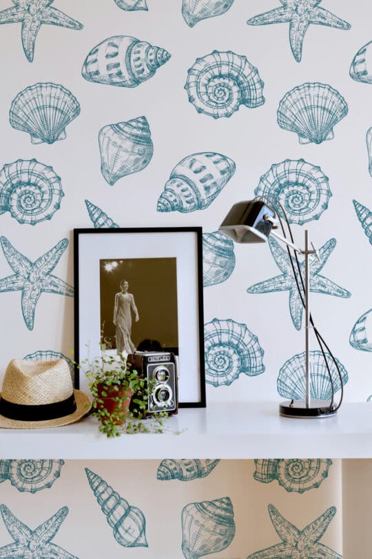 aesthetic seashell non-pasted wallpaper