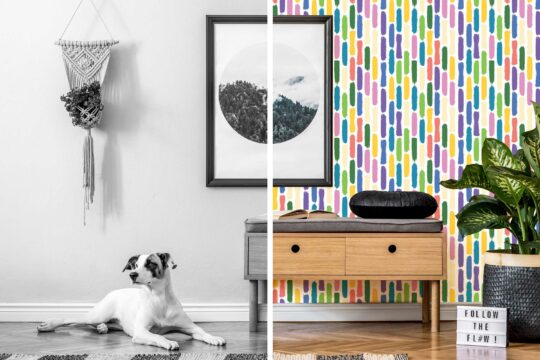 colorful kids room peel and stick removable wallpaper