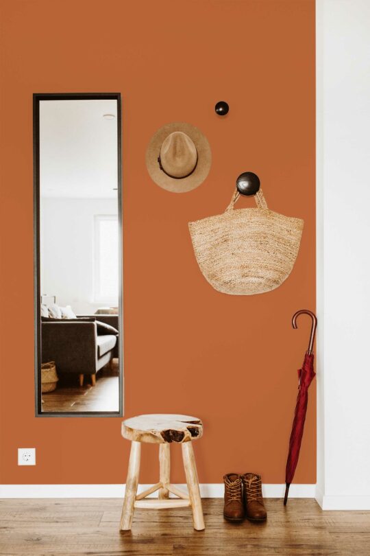 Terracotta Traditional Wallpaper by Fancy Walls