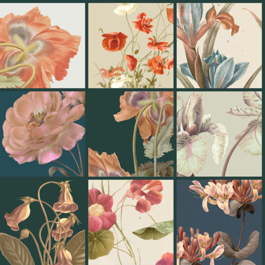 colorful botanical unpasted wallpaper