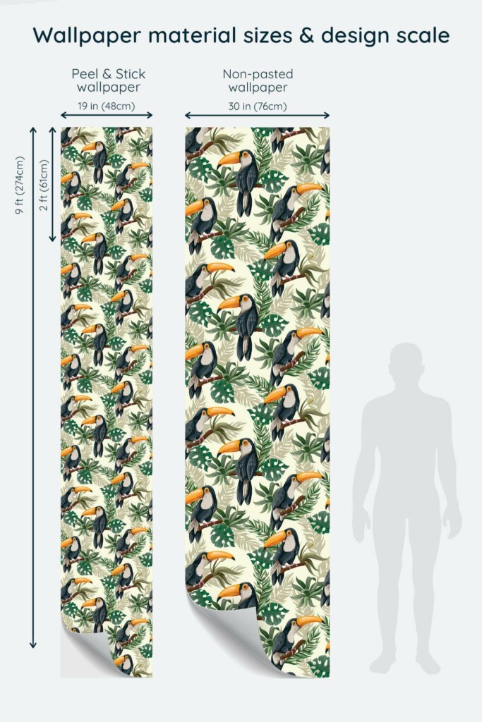 Size comparison of Toucan bird Peel & Stick and Non-pasted wallpapers with design scale relative to human figure