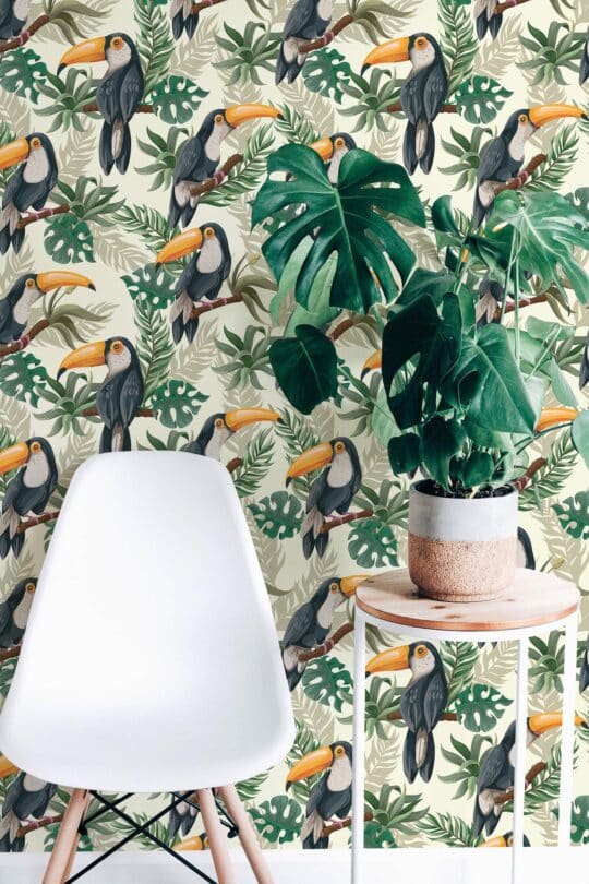 toucan removable wallpaper