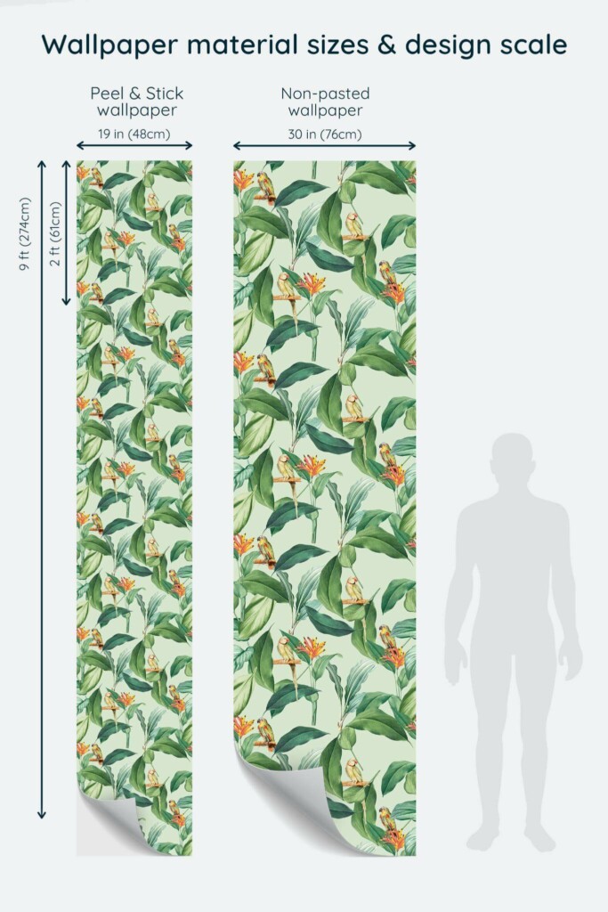 Size comparison of Tropical parrot Peel & Stick and Non-pasted wallpapers with design scale relative to human figure