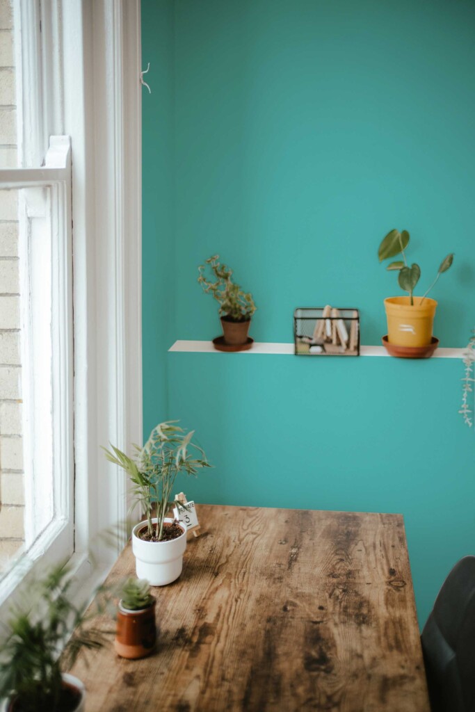 Traditional wallpaper in turquoise solid color by Fancy Walls designed for bright minimalist rooms
