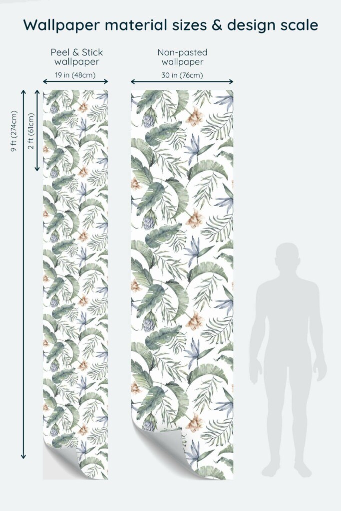 Size comparison of Watercolor tropical Peel & Stick and Non-pasted wallpapers with design scale relative to human figure