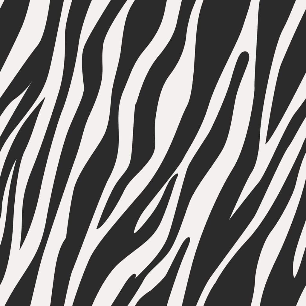Zebra print wallpaper - Peel and Stick or Non-Pasted