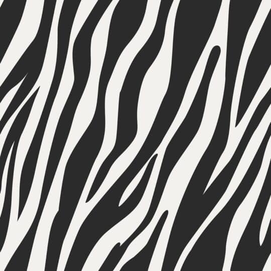 Black and white peel and stick wallpaper - zebra design - animal print
